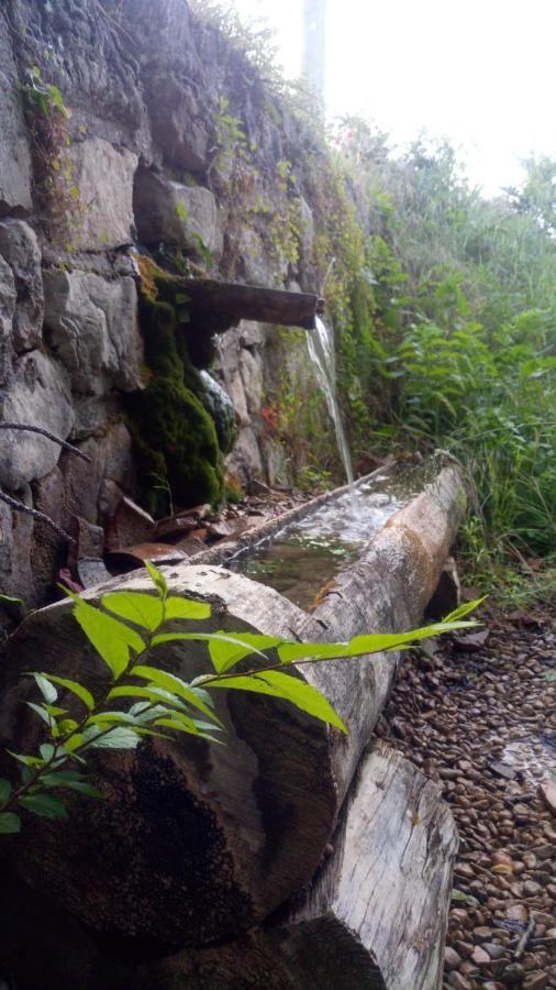 Hotel Rio Escabas, Serrania De Cuenca Canamares ภายนอก รูปภาพ