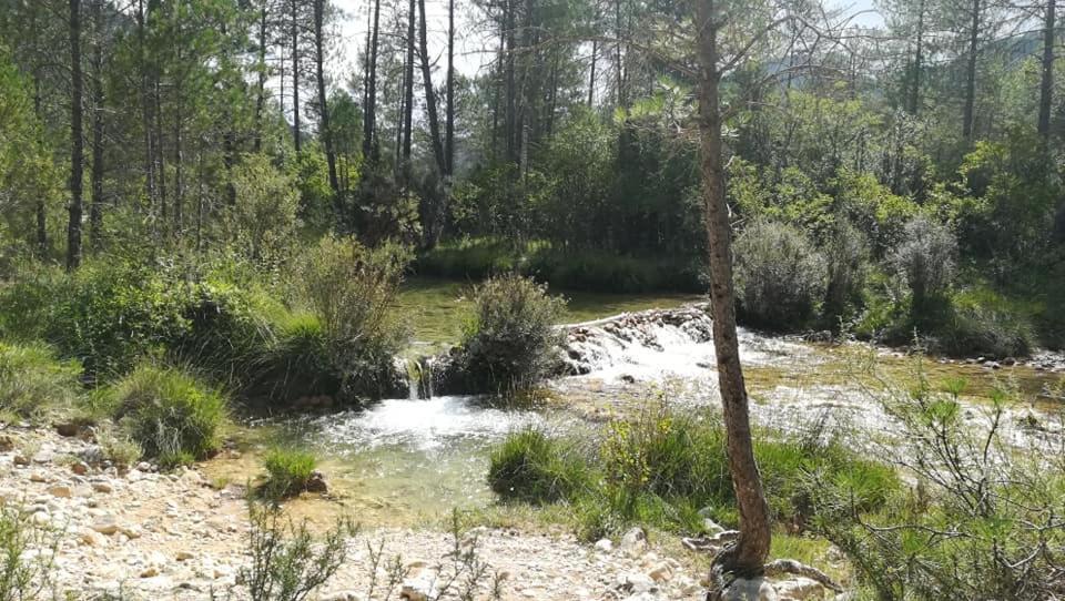 Hotel Rio Escabas, Serrania De Cuenca Canamares ภายนอก รูปภาพ