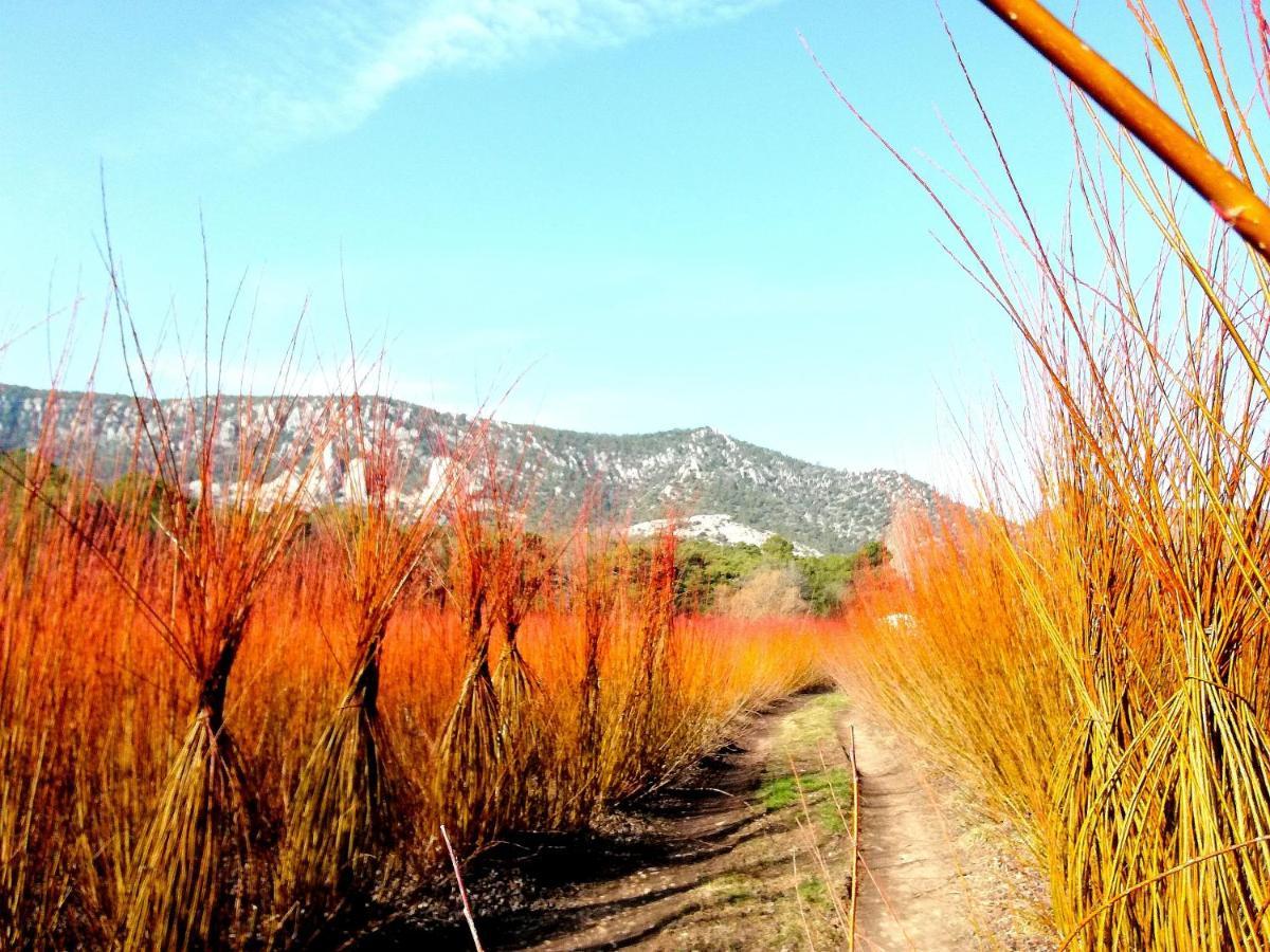 Hotel Rio Escabas, Serrania De Cuenca Canamares ภายนอก รูปภาพ