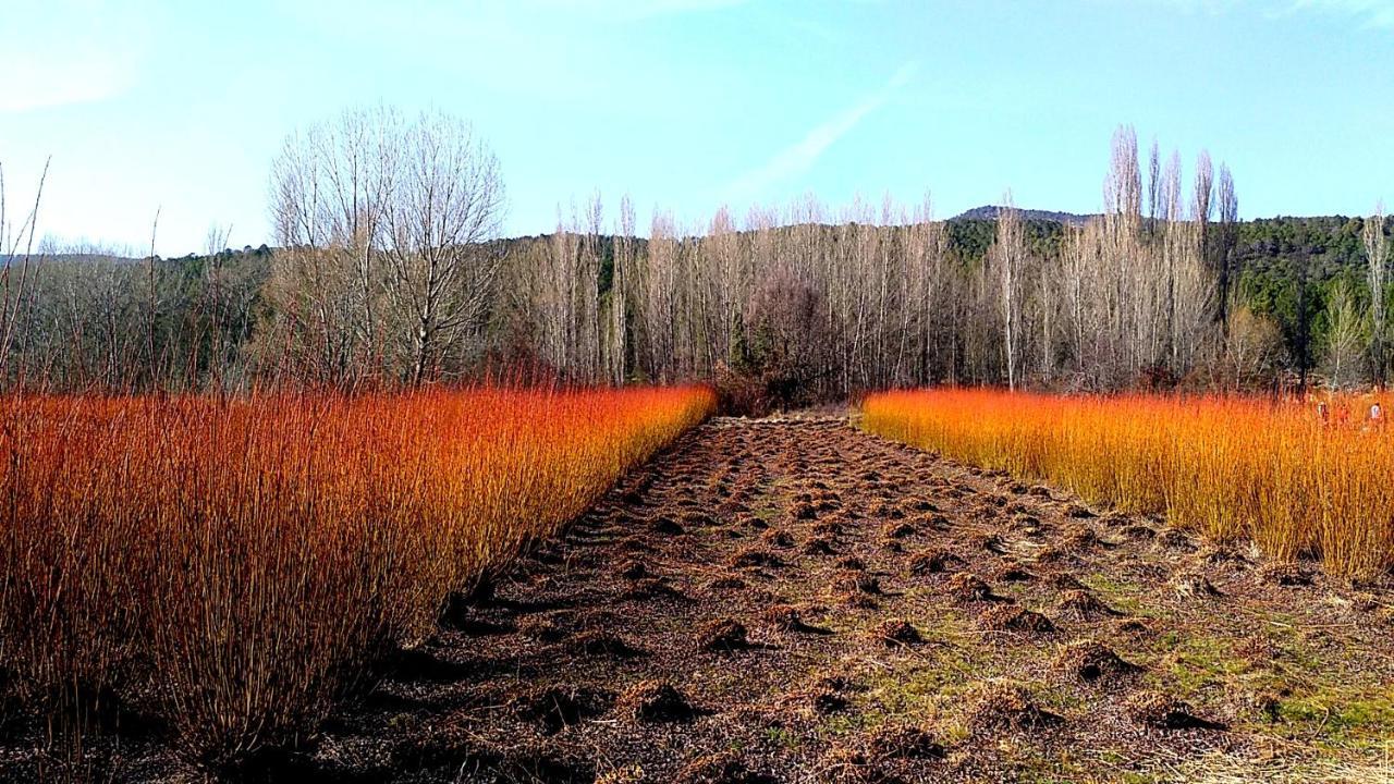 Hotel Rio Escabas, Serrania De Cuenca Canamares ภายนอก รูปภาพ