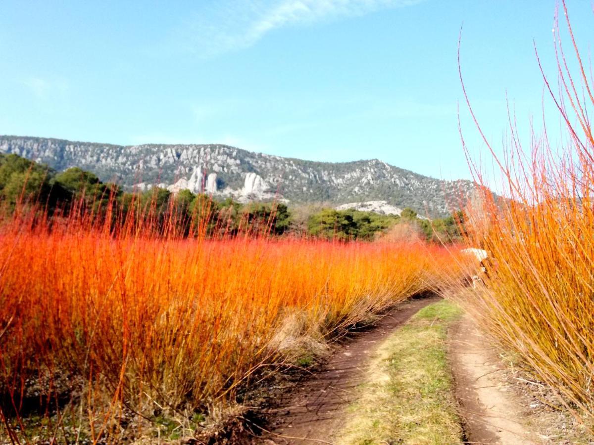 Hotel Rio Escabas, Serrania De Cuenca Canamares ภายนอก รูปภาพ