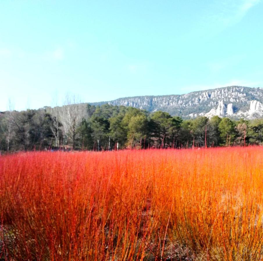 Hotel Rio Escabas, Serrania De Cuenca Canamares ภายนอก รูปภาพ